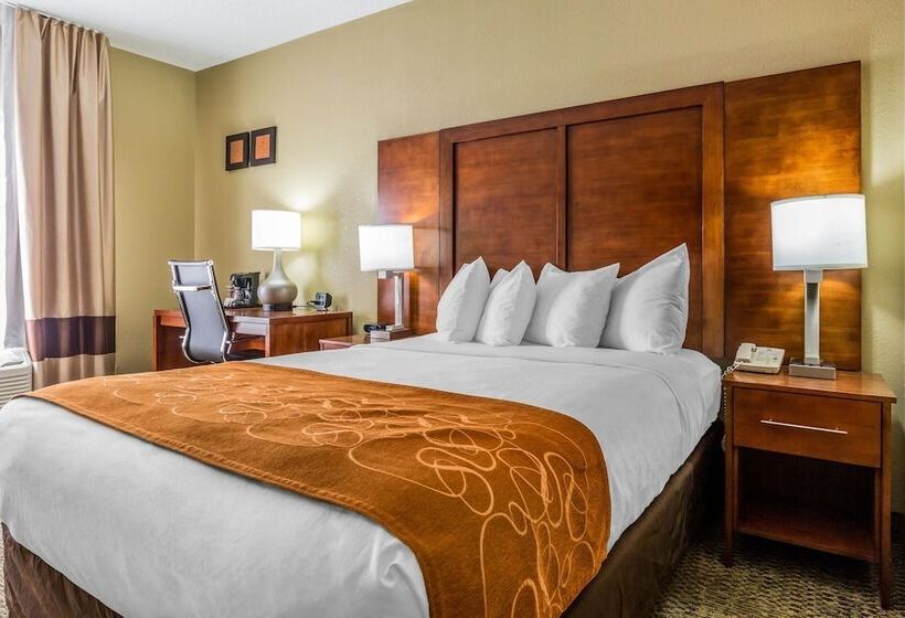 身障者適用スイートルーム, Comfort Suites Near I 80 And I 94