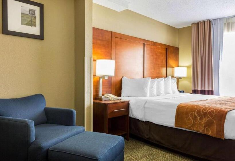 جناح سرير كينج, Comfort Suites Near I 80 And I 94