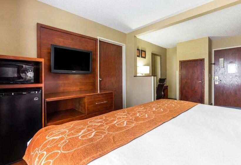 带大床的套房, Comfort Suites Near I 80 And I 94