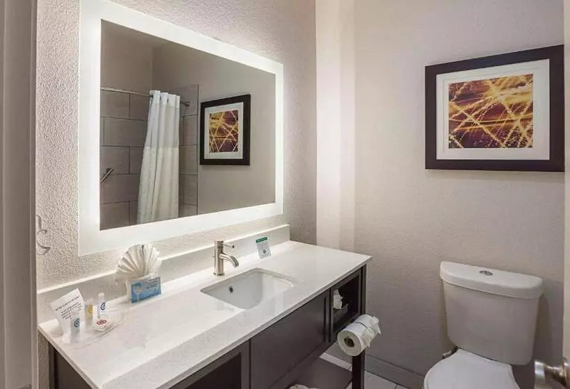 スイート, Comfort Suites Lewisville