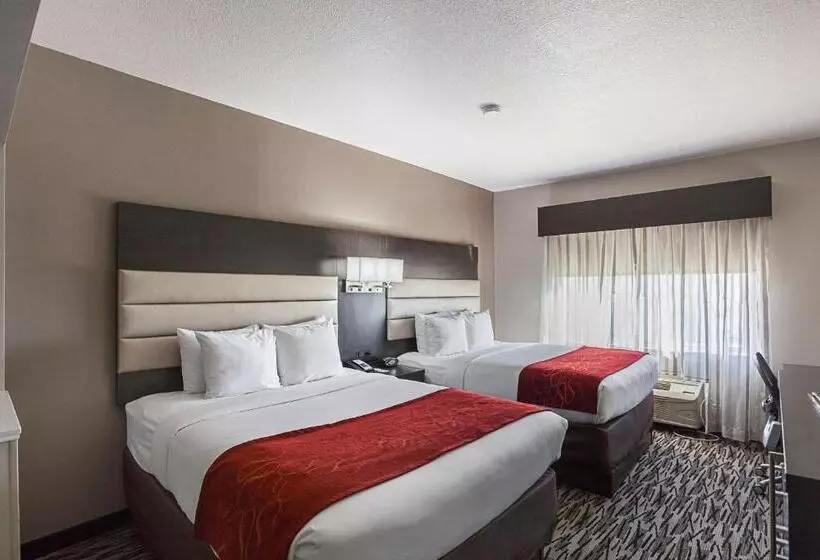 スイート, Comfort Suites Lewisville