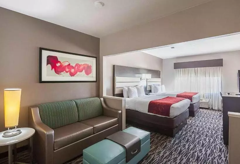スイート, Comfort Suites Lewisville