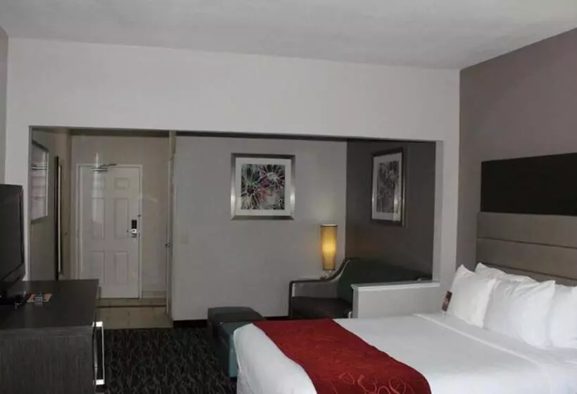身障者適用スイートルーム, Comfort Suites Lewisville