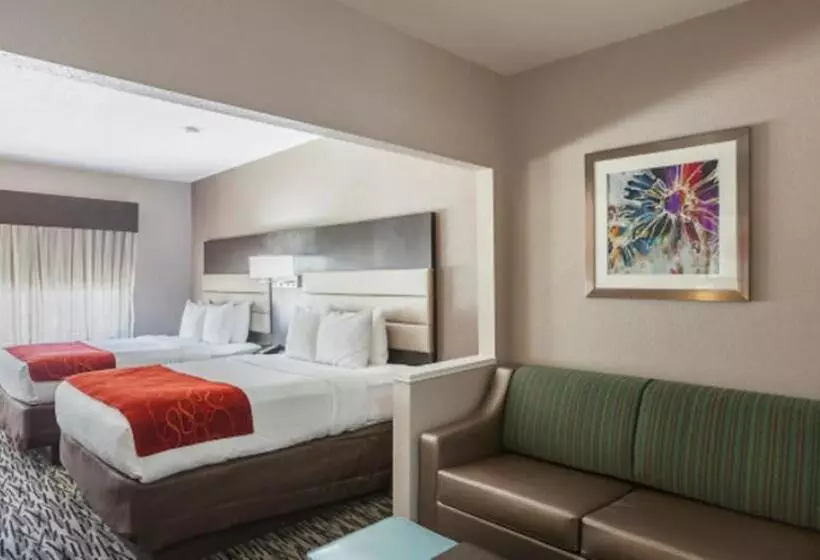 身障者適用スイートルーム, Comfort Suites Lewisville