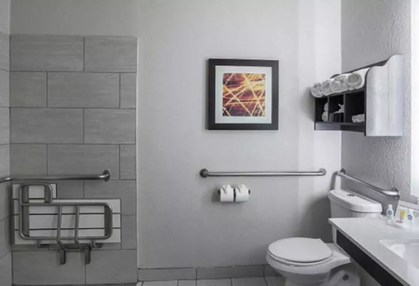 身障者適用スイートルーム, Comfort Suites Lewisville