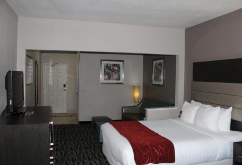 Люкс Адаптированный для Инвалидов, Comfort Suites Lewisville