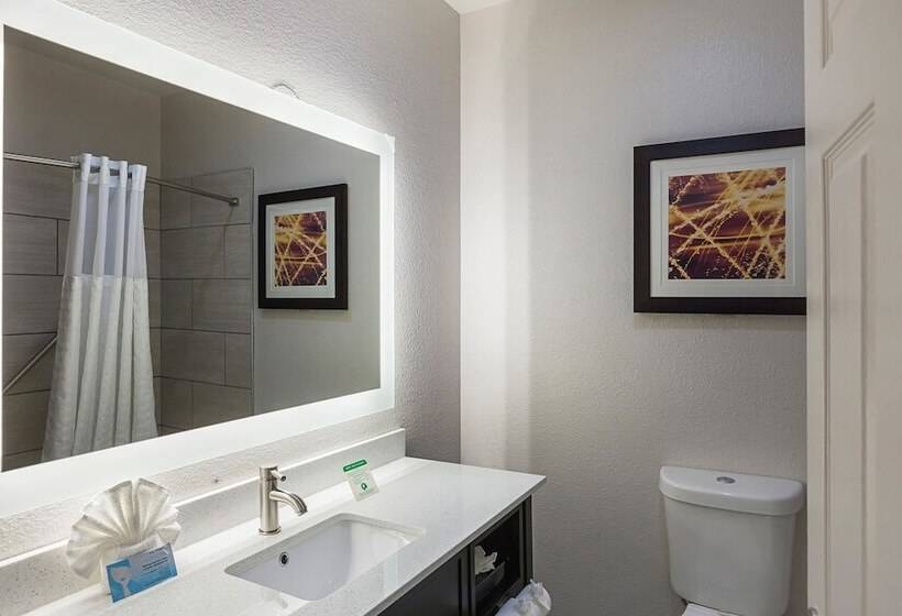 Люкс, Comfort Suites Lewisville