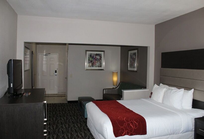 Люкс, Comfort Suites Lewisville
