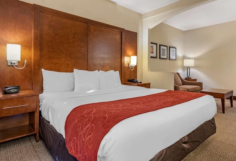 جناح لذوى الاحتياجات الخاصة, Comfort Suites Miami  Kendall
