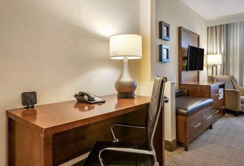 جناح لذوى الاحتياجات الخاصة, Comfort Suites Miami  Kendall