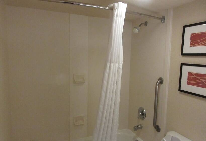 جناح لذوى الاحتياجات الخاصة, Comfort Suites Miami  Kendall