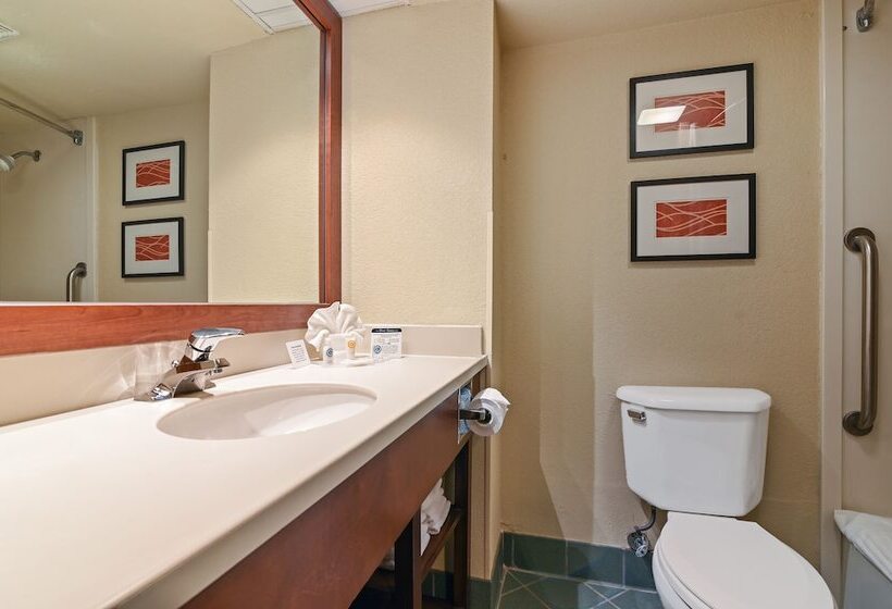 جناح لذوى الاحتياجات الخاصة, Comfort Suites Miami  Kendall