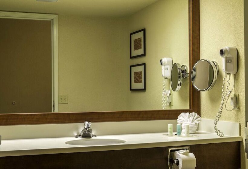 套房, Comfort Suites Miami  Kendall
