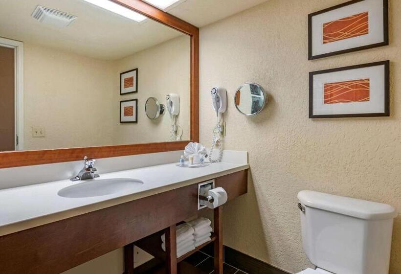 带大床的套房, Comfort Suites Miami  Kendall