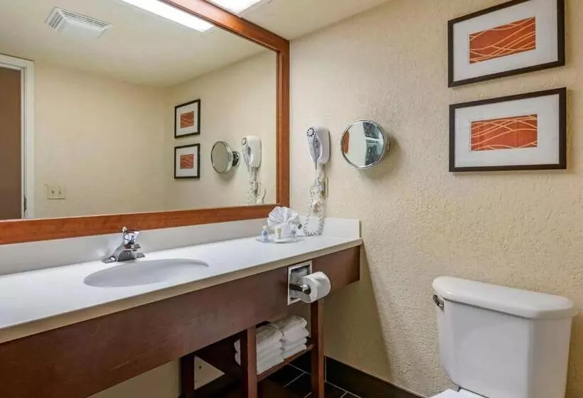 سوئیت با تخت بزرگ, Comfort Suites Miami Kendall