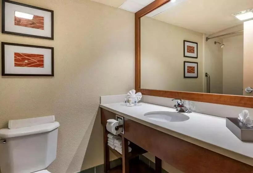 سوئیت با تخت بزرگ, Comfort Suites Miami Kendall