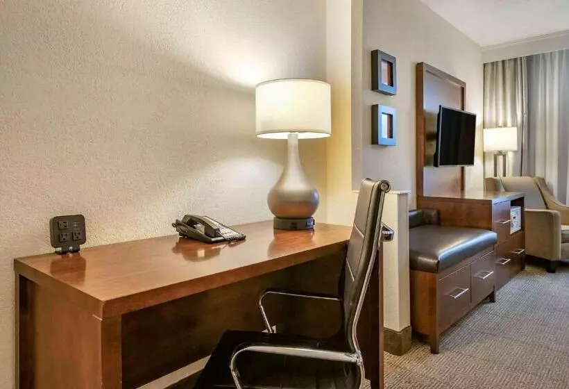 سوئیت با تخت بزرگ, Comfort Suites Miami Kendall