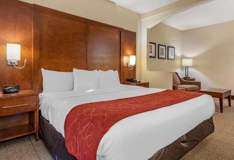 带大床的套房, Comfort Suites Miami  Kendall