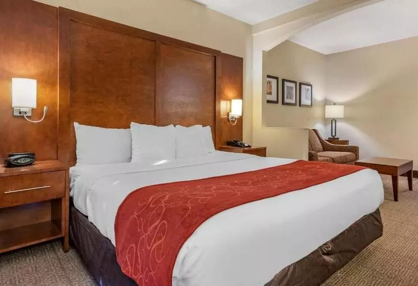 سوئیت با تخت بزرگ, Comfort Suites Miami Kendall