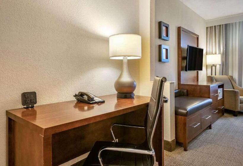 适合残疾人士使用的套间, Comfort Suites Miami  Kendall