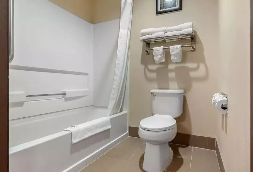 スイート, Comfort Suites Omaha Eastcouncil Bluffs