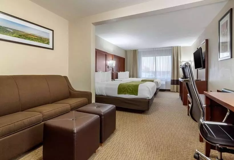 スイート, Comfort Suites Omaha Eastcouncil Bluffs