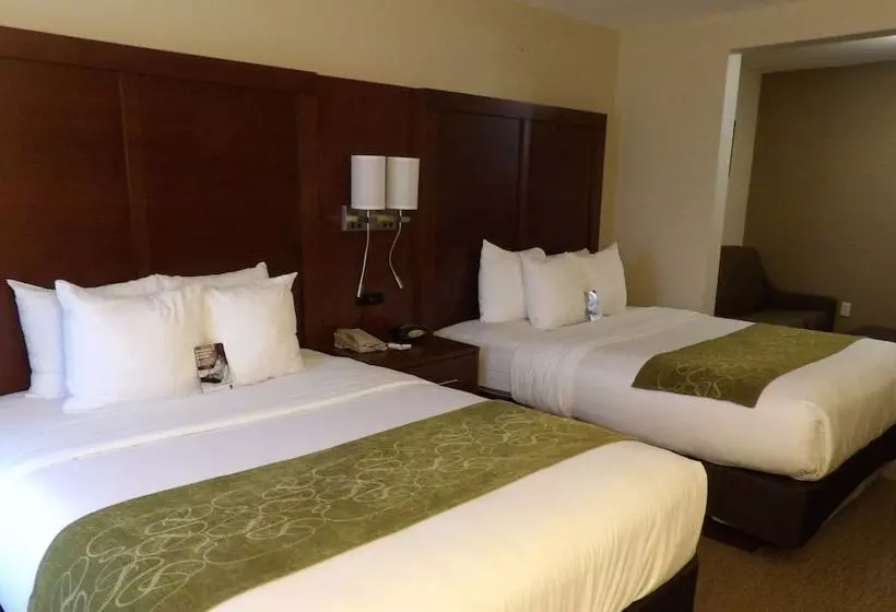 スイート, Comfort Suites Omaha Eastcouncil Bluffs