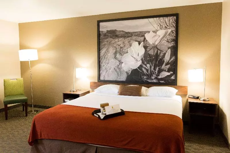 キングサイズベッドのスイートルーム, Comfort Suites