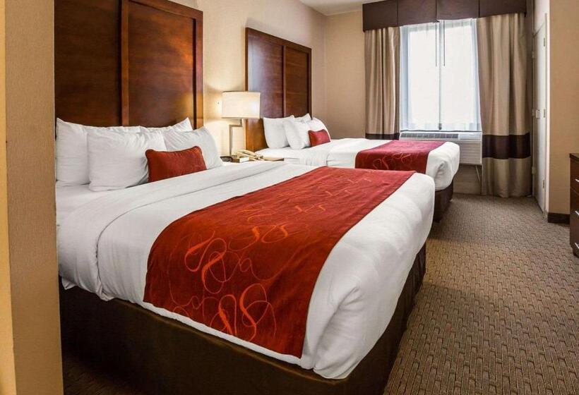 스위트, Comfort Suites Stafford Near Sugarland