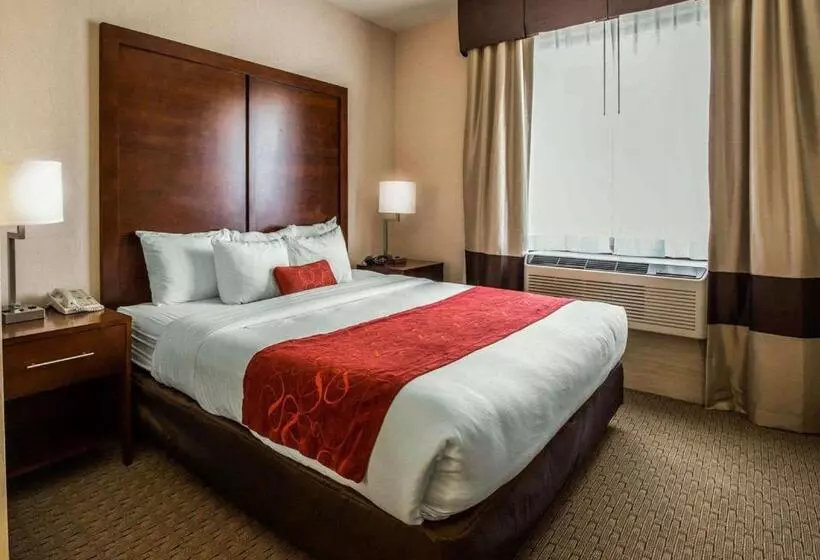Deluxe Suite King Bed, Comfort Suites Stafford Near Sugarland