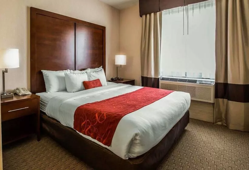 Sviitti King-vuode, Comfort Suites Stafford Near Sugarland