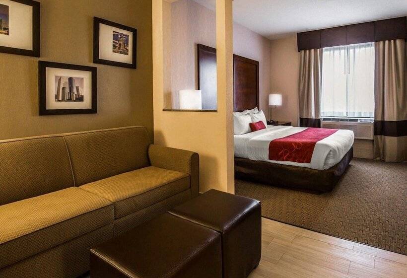 스위트 킹사이즈 침대, Comfort Suites Stafford Near Sugarland