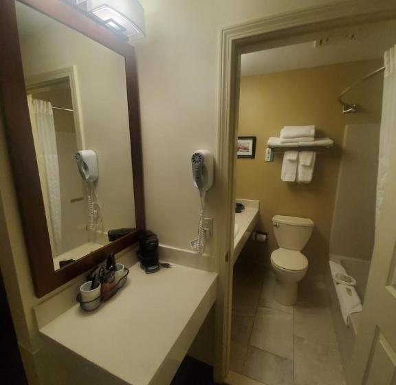 اتاق لوکس, Country Inn At The Mall