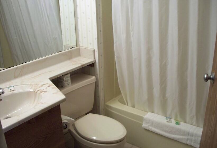 Номер Стандарт 2 Двуспальные Кровати, Country Inn Deerwood
