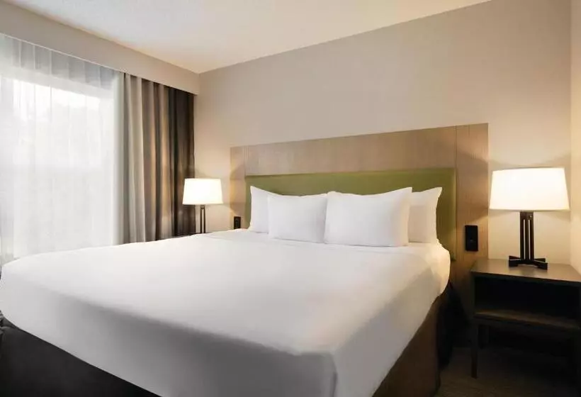 キングサイズベッドのスイートルーム, Country Inn & Suites By Radisson, Brooklyn Center, Mn