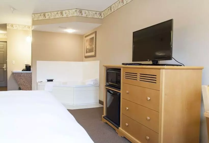 ハイドロマッサージバス付きスイート, Country Inn & Suites By Radisson, Cedar Falls, Ia