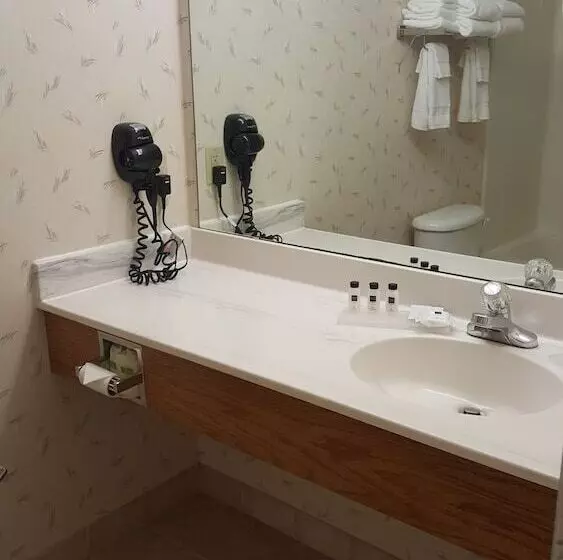 ハイドロマッサージバス付きスイート, Country Inn & Suites By Radisson, Cedar Falls, Ia