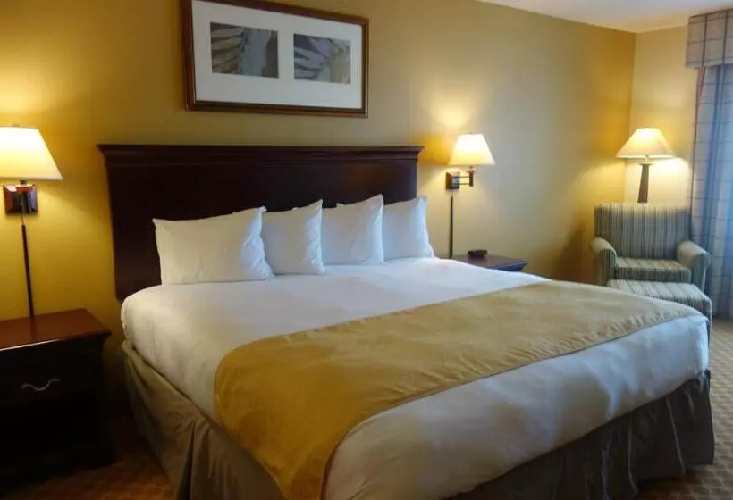 キングサイズベッドのスイートルーム, Country Inn & Suites By Radisson, Kingsland, Ga