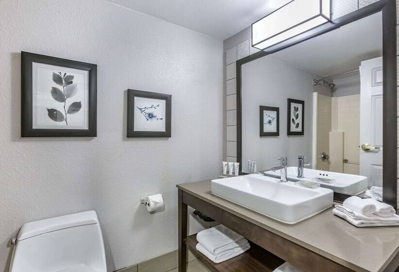 سوییت, Country Inn & Suites By Radisson Mesa Az