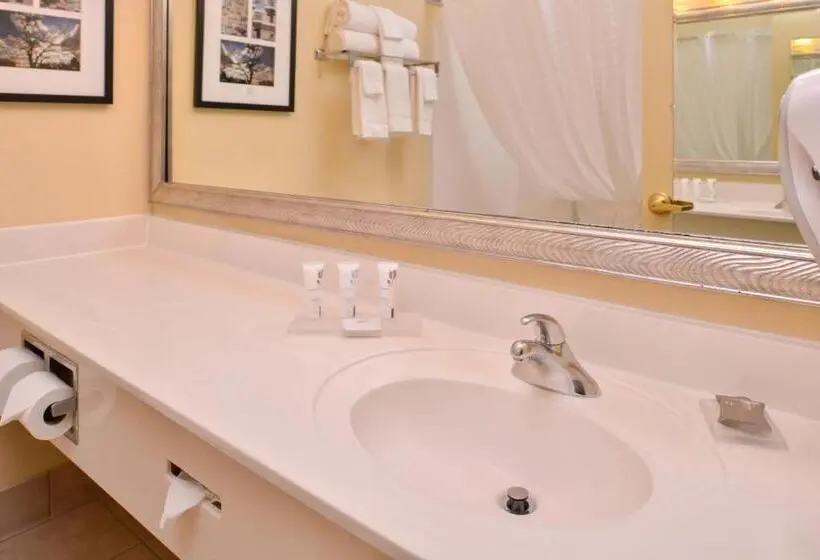 ハイドロマッサージバス付きスイート, Country Inn & Suites By Radisson, Omaha Airport, Ia