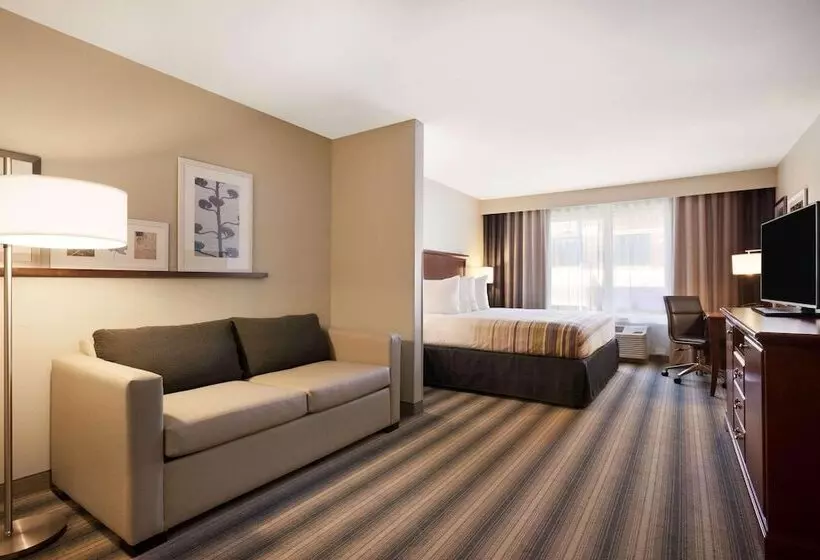 キングサイドベッドのスタンダードワンルーム, Country Inn & Suites By Radisson, Roseville, Mn