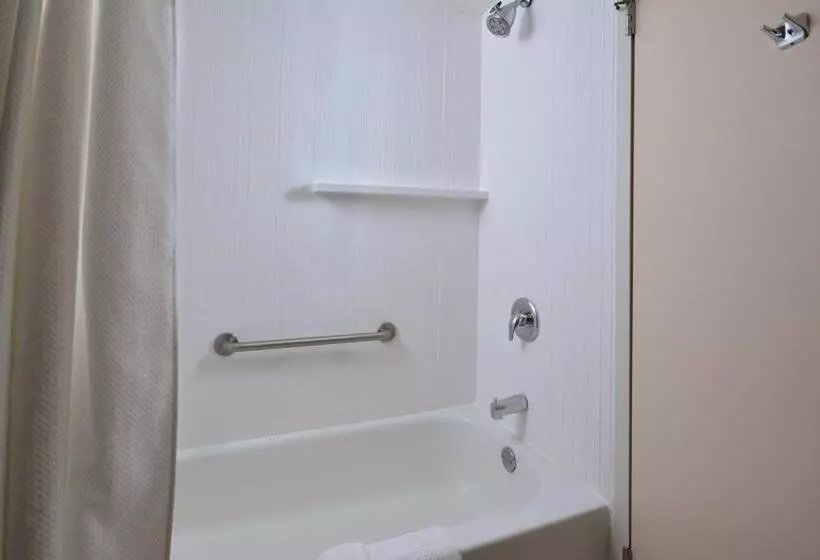 اتاق استاندارد با تخت بزرگ, Courtyard Beckley