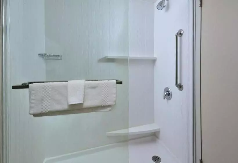 اتاق استاندارد با تخت بزرگ, Courtyard Beckley