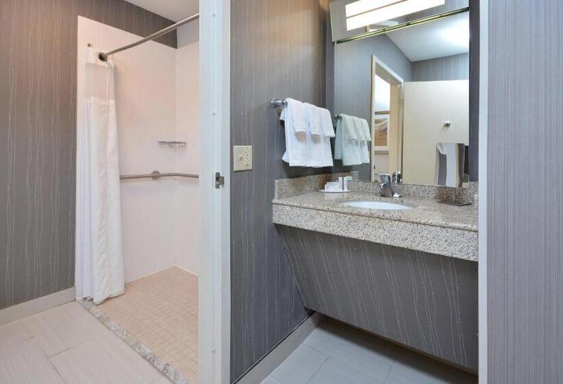 غرفة قياسية سرير كينج لذوى الإحتياجات الخاصة, Courtyard Beckley