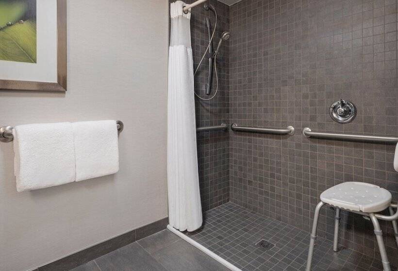 غرفه قياسيه سريرين مزدوجين, Courtyard Tampa North/i75 Fletcher