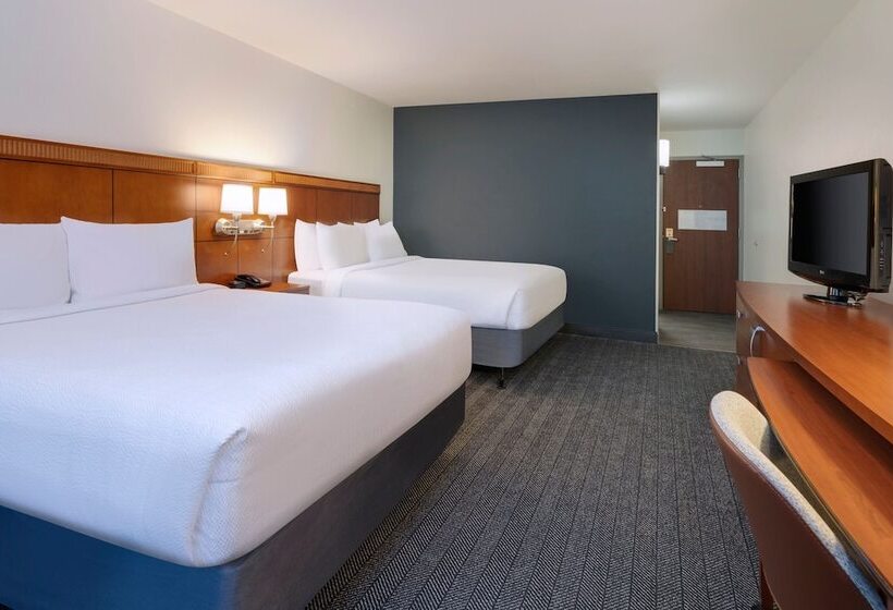 غرفه قياسيه سريرين مزدوجين, Courtyard Tampa North/i75 Fletcher