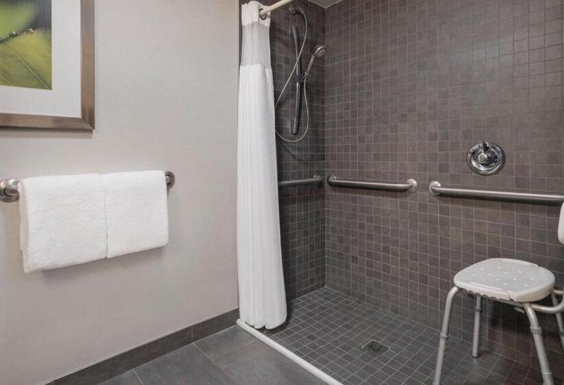 غرفة قياسية سرير كينج, Courtyard Tampa North/i75 Fletcher