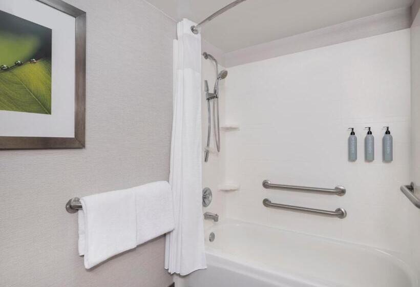 غرفة قياسية سرير كينج, Courtyard Tampa North/i75 Fletcher