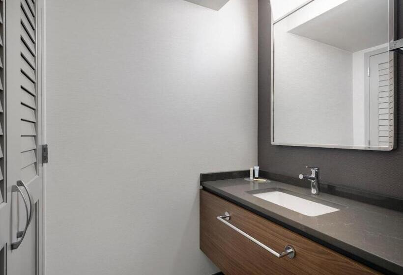 غرفة قياسية سرير ملكى لذوى الإحتياجات الخاصة, Courtyard Tampa North/i75 Fletcher