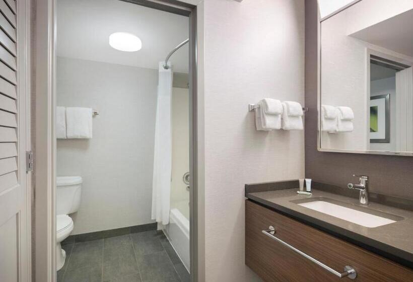 غرفه قياسيه سريرين مزدوجين, Courtyard Tampa North/i75 Fletcher